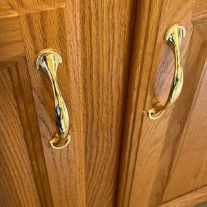 Meet your Posher, Dianne